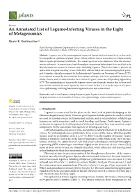 An Annotated List of Legume-Infecting Viruses in the Light of Metagenomics