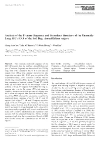 Analysis of the Primary Sequence and Secondary Structure of the Unusually Long SSU Rrna of the Soil Bug, Armadillidium Vulgare