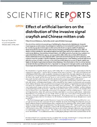 Effect of Artificial Barriers on the Distribution of the Invasive Signal
