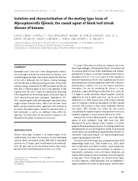 Isolation and Characterization of the Mating Type Locus Of
