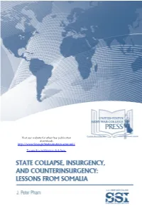 State Collapse, Insurgency and Counterinsurgency
