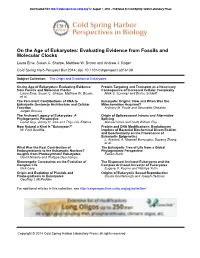 Evaluating Evidence from Fossils and Molecular Clocks