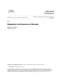 Mapping the Lived Experiences of Bisexuals