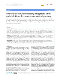 Suggested Terms and Definitions for a Neuroanatomical Glossary