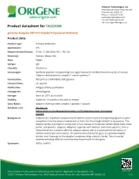 Gamma Adaptin (AP1G1) Rabbit Polyclonal Antibody Product Data