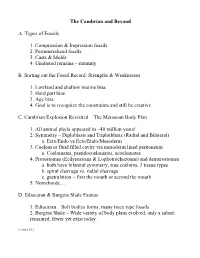 The Cambrian and Beyond A. Types of Fossils 1. Compression