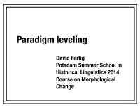 Paradigm Leveling