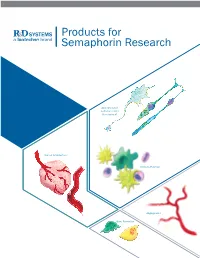 Products for Semaphorin Research
