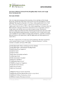 Site Synopsis