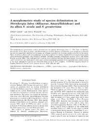 A Morphometric Study of Species Delimitation in Sternbergia Lutea (Alliaceae, Amaryllidoideae) and Its Allies S