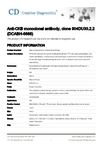 Anti-CKB Monoclonal Antibody, Clone 904DU30.2.2 (DCABH-6668) This Product Is for Research Use Only and Is Not Intended for Diagnostic Use