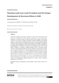 Planetary‐Scale Low‐Level Circulation and the Unique Development of Hurricane Wilma in 2005 91