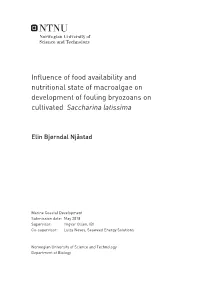 Influence of Food Availability and Nutritional State of Macroalgae on Development of Fouling Bryozoans on Cultivated Saccharina Latissima