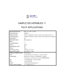 Sample Deliverables 17 Pilot Applications