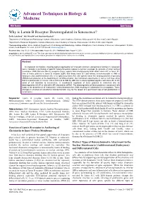 Why Is Lamin B Receptor Downregulated in Senescence?