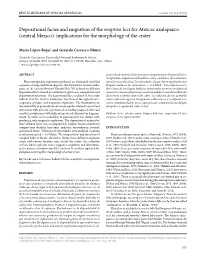 Depositional Facies and Migration of the Eruptive Loci for Atexcac Axalapazco (Central Mexico): Implications for the Morphology of the Crater