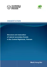 Structure and Restoration of Natural Secondary Fore in the Central
