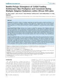Bentho-Pelagic Divergence of Cichlid Feeding Architecture Was Prodigious and Consistent During Multiple Adaptive Radiations Within African Rift-Lakes