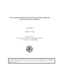 Documenting and Disseminating Traditional Knowledge and Cultural Expressions in Brazil