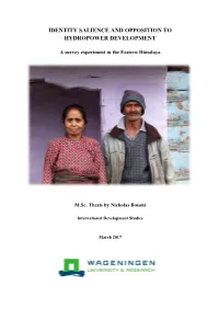 Identity Salience and Opposition to Hydropower Development