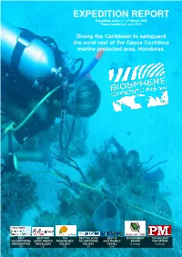 EXPEDITION REPORT Expedition Dates: 1 - 27 March 2009 Report Published: July 2010