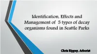 Identification, Effects and Management of 5 Types of Decay Organisms Found in Seattle Parks