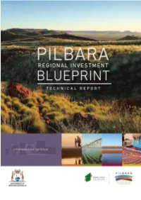 PDC Regional Investment Blueprint