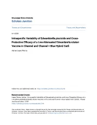 Intraspecific Variability of Edwardsiella Piscicida and Cross-Protective Efficacy of A