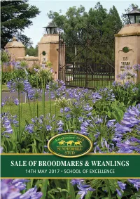 2017 Summerhill Stud Sale of Mares and Weanlings