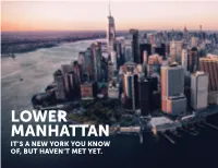 Lower Manhattan It’S a New York You Know Of, but Haven’T Met Yet