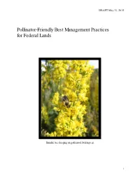 Pollinator-Friendly Best Management Practices for Federal Lands