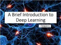 A Brief Introduction to Deep Learning
