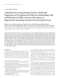 A Multilevel Screening Strategy Defines a Molecular Fingerprint Of