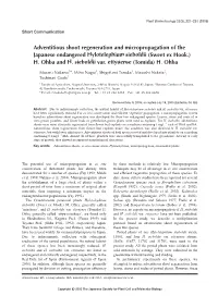 Adventitious Shoot Regeneration and Micropropagation of the Japanese Endangered Hylotelephium Sieboldii (Sweet Ex Hook.) H