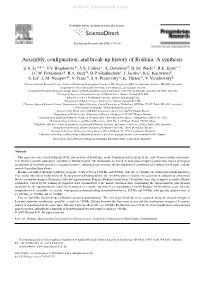 Assembly, Configuration, and Break-Up History of Rodinia