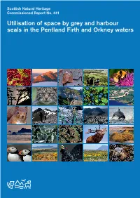 Utilisation of Space by Grey Harbour Seals in the Pentland Firth And