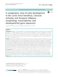A Comparative View of Early Development in the Corals Favia Lizardensis, Ctenactis Echinata, and Acropora Millepora