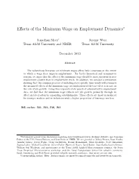 Effects of the Minimum Wage on Employment Dynamics