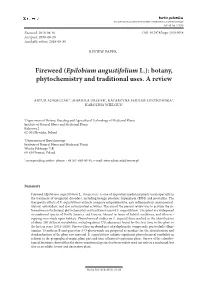 Fireweed (Epilobium Angustifolium L.): Botany, Phytochemistry and Traditional Uses