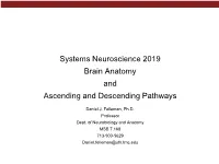 Neuroscience, 4E