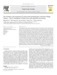 Simulation of Debris Flow Wi