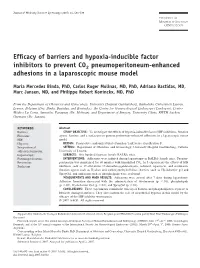 Efficacy of Barriers and Hypoxia-Inducible Factor Inhibitors