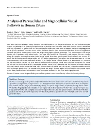 Analysis of Parvocellular and Magnocellular Visual Pathways in Human Retina