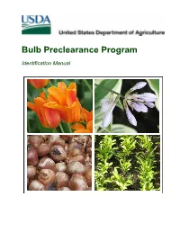 Bulb Preclearance Program Identification Manual