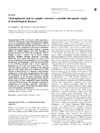 Nucleophosmin and Its Complex Network: a Possible Therapeutic Target in Hematological Diseases