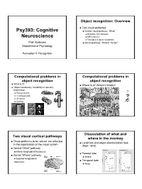 Psy393: Cognitive „ Ventral Visual Pathway: “What” „ Disorders: the Agnosias Neuroscience „ Fmri Evidence „ Two Types of Object Recognition Prof
