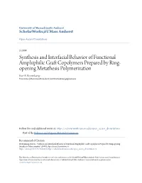 Synthesis and Interfacial Behavior of Functional Amphiphilic Graft Copolymers Prepared by Ring-Opening Metathesis Polymerization