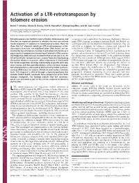 Activation of a LTR-Retrotransposon by Telomere Erosion
