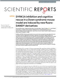 DYRK1A Inhibition and Cognitive Rescue in a Down Syndrome Mouse