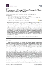 Development of Drought-Tolerant Transgenic Wheat: Achievements and Limitations